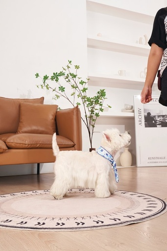 M-pets Cooling Collar Scarf S White
