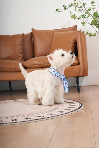 M-pets Cooling Collar Scarf S White
