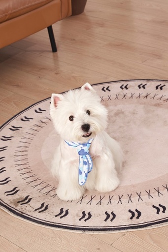 M-pets Cooling Collar Scarf S White