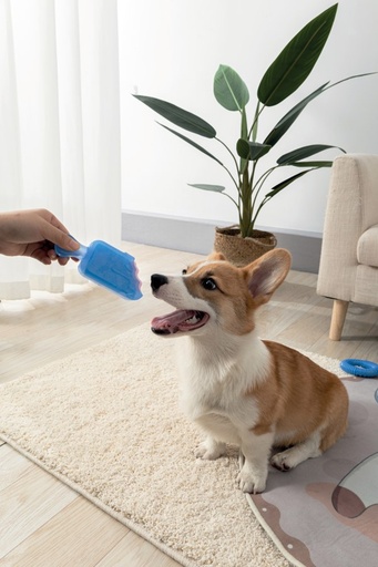 M-pets Cooling Dog Toy Frisko