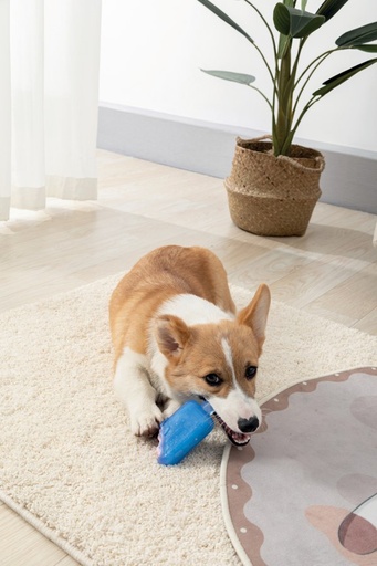 M-pets Cooling Dog Toy Frisko