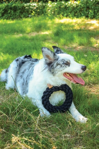 M-pets Coto Black Ring 18cm