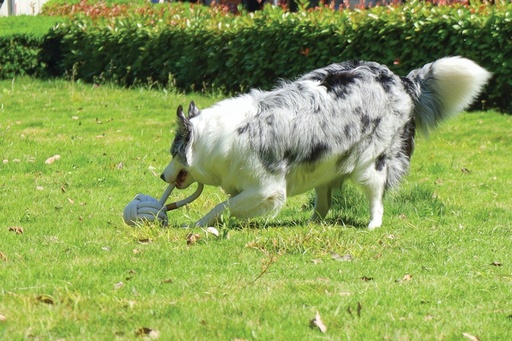 M-pets Coto White Loop Ball 11cm