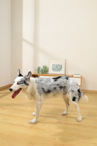 M-pets Diapers Female Dog Xl