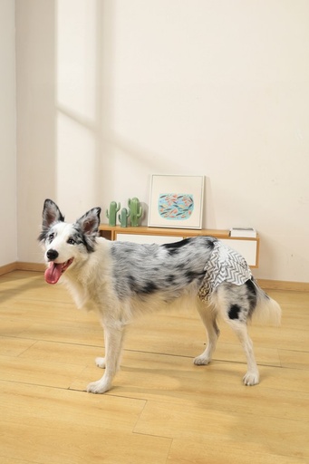 M-pets Diapers Female Dog Xl
