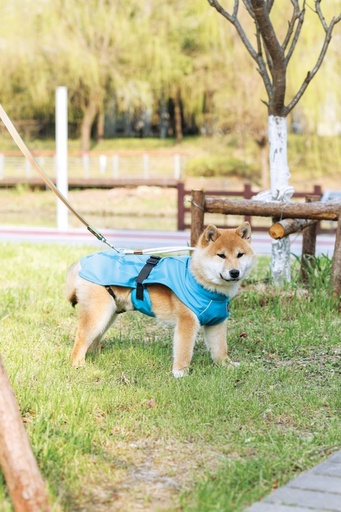 M-pets Dog Rain Coat - M