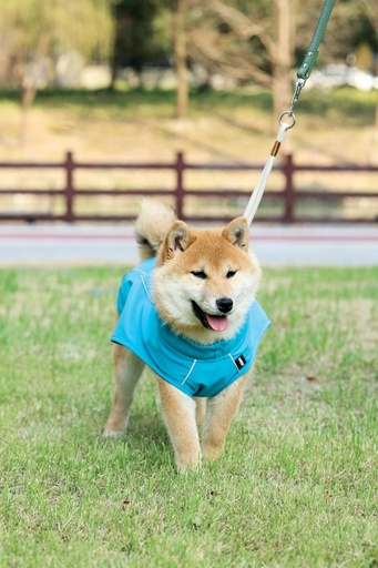 M-pets Dog Rain Coat - M