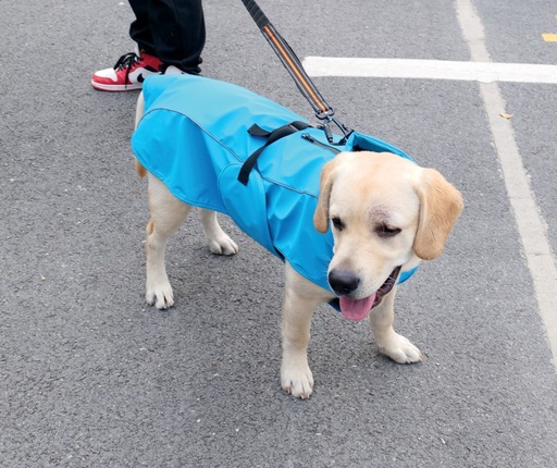 M-pets Dog Rain Coat - Xs