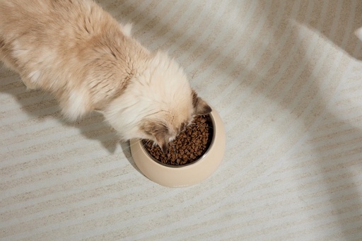 M-pets Eco Bamboo Bowl Sand 350ml