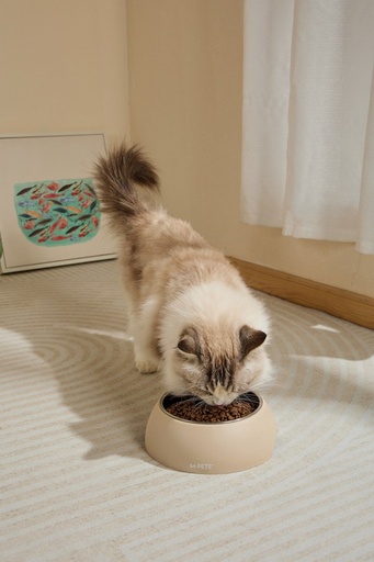 M-pets Eco Bamboo Bowl Sand 350ml