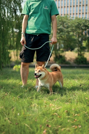M-pets Eco Dog Leash M - Green