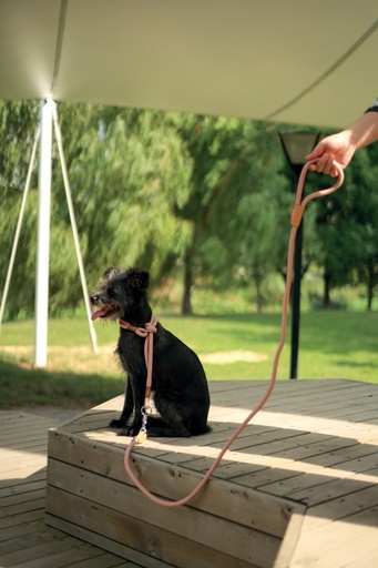 M-pets Eco Dog Leash M - Green