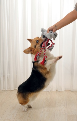 M-pets Eco Dog Toy Bailey