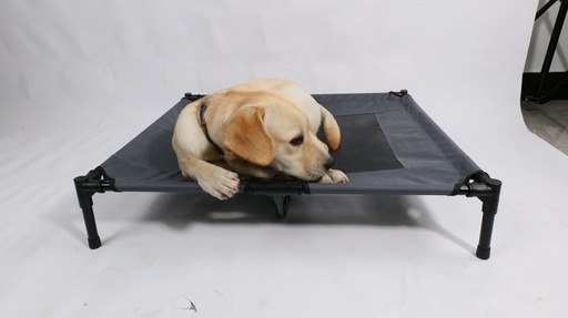 M-pets Elevated Pet Bed - L