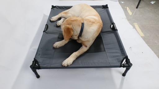M-pets Elevated Pet Bed - L
