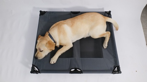 M-pets Elevated Pet Bed - L