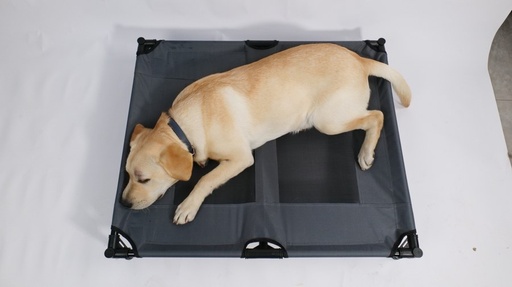 M-pets Elevated Pet Bed - L