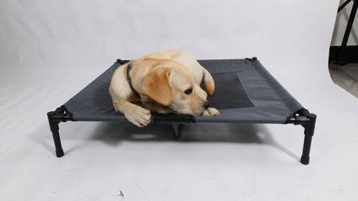 M-pets Elevated Pet Bed - L