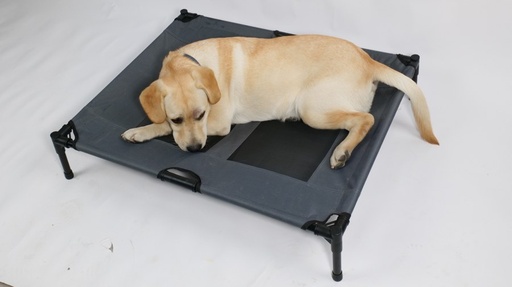 M-pets Elevated Pet Bed - L