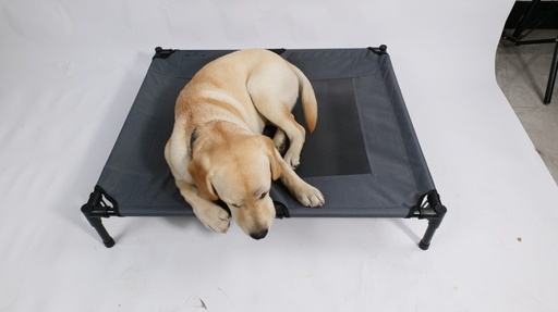 M-pets Elevated Pet Bed - L