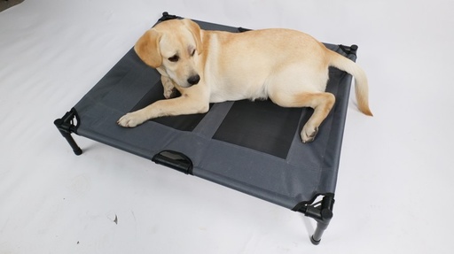 M-pets Elevated Pet Bed - L