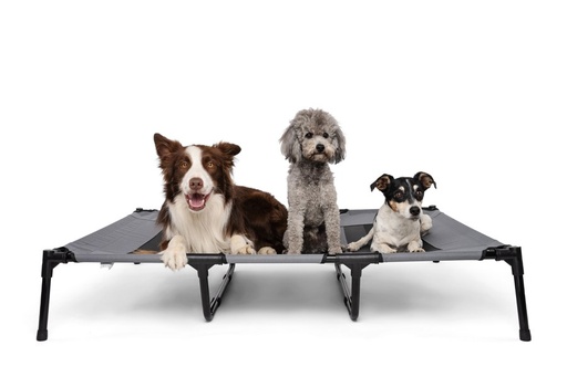 M-pets Elevated Pet Bed - Xl