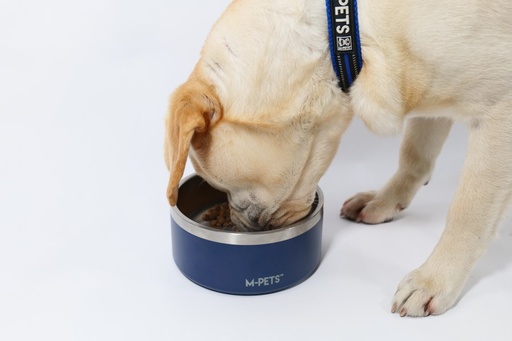M-pets Eskimo Double Wall Bowl 1.25l - Blue