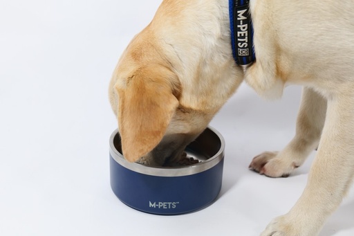 M-pets Eskimo Double Wall Bowl 1.25l - Blue