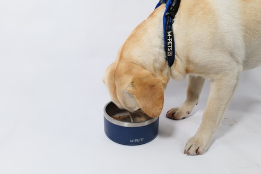 M-pets Eskimo Double Wall Bowl 1.25l - Blue