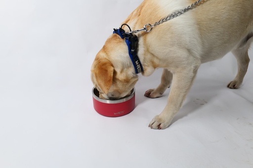M-pets Eskimo Double Wall Bowl 1.25l - Red