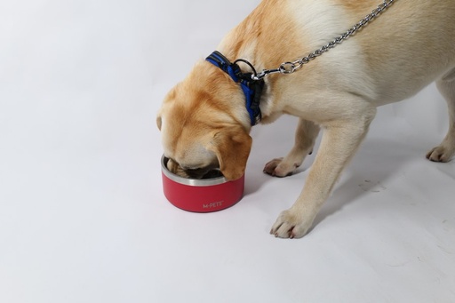 M-pets Eskimo Double Wall Bowl 1.25l - Red