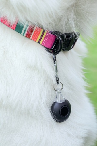 M-pets Fearless Ultrasonic Flea And Tick Repeller-black