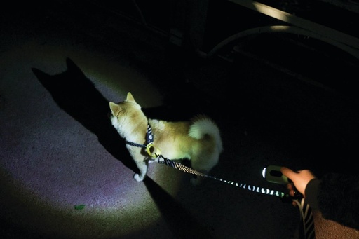 M-pets Flash Led Poop Torch Green