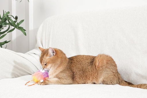 M-pets Fluffy Catnip Toy Bub