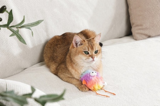 M-pets Fluffy Catnip Toy Bub