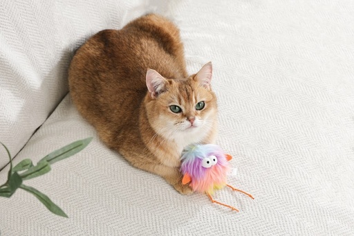 M-pets Fluffy Catnip Toy Bub