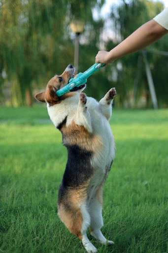 M-pets Flyer Reactor Outdoor Dog Toy - Reactor