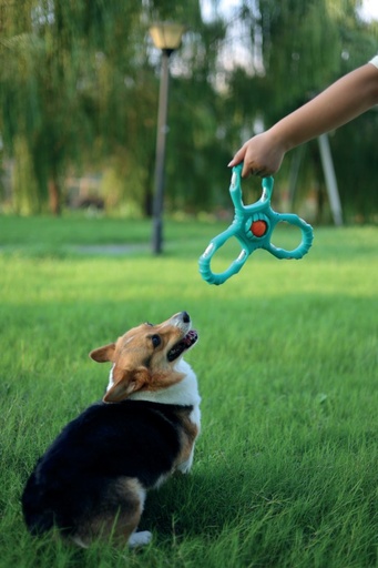 M-pets Flyer Reactor Outdoor Dog Toy - Reactor