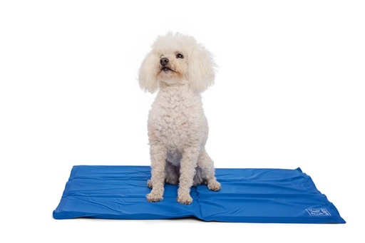 M-pets Frozen Cooling Mat S // Size: 40 X 50cm