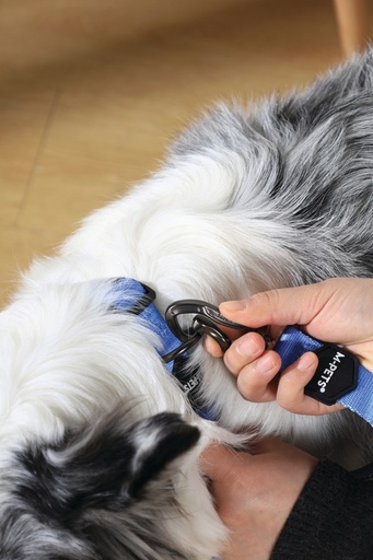 M-pets Gentle Dog Leash L Blue
