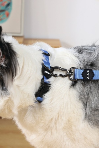 M-pets Gentle Dog Leash L Blue