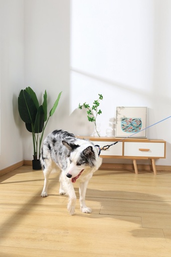 M-pets Gentle Dog Leash L Blue