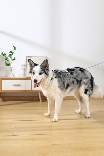M-pets Gentle Dog Leash L Blue