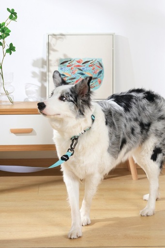 M-pets Gentle Dog Leash L Green