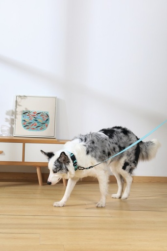 M-pets Gentle Dog Leash L Green