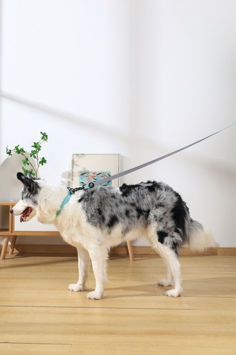 M-pets Gentle Dog Leash L Green
