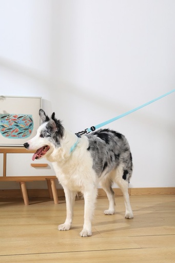 M-pets Gentle Dog Leash L Green