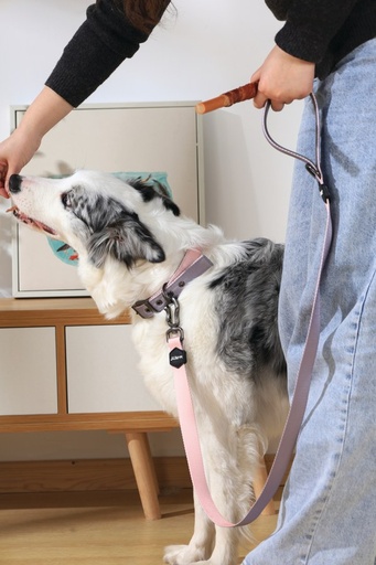 M-pets Gentle Dog Leash L Pink