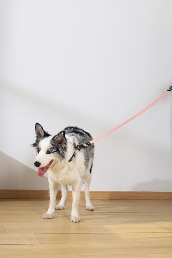 M-pets Gentle Dog Leash L Pink