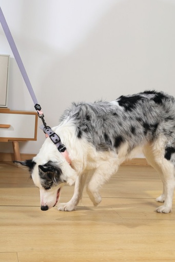 M-pets Gentle Dog Leash L Pink